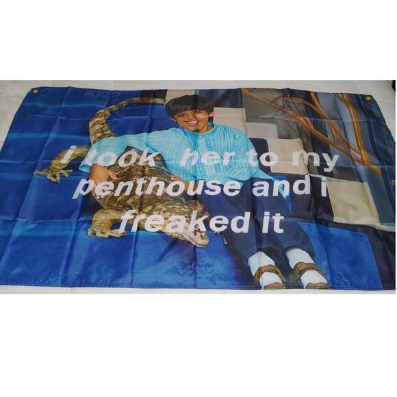 “I Took Her To My Penthouse and I Freaked It” Flag 3x5 Ft – Funny Meme Tapestry - Picture 2 of 7